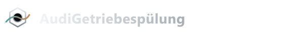 AudiGetriebespülung